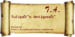 Tulipán Antigoné névjegykártya